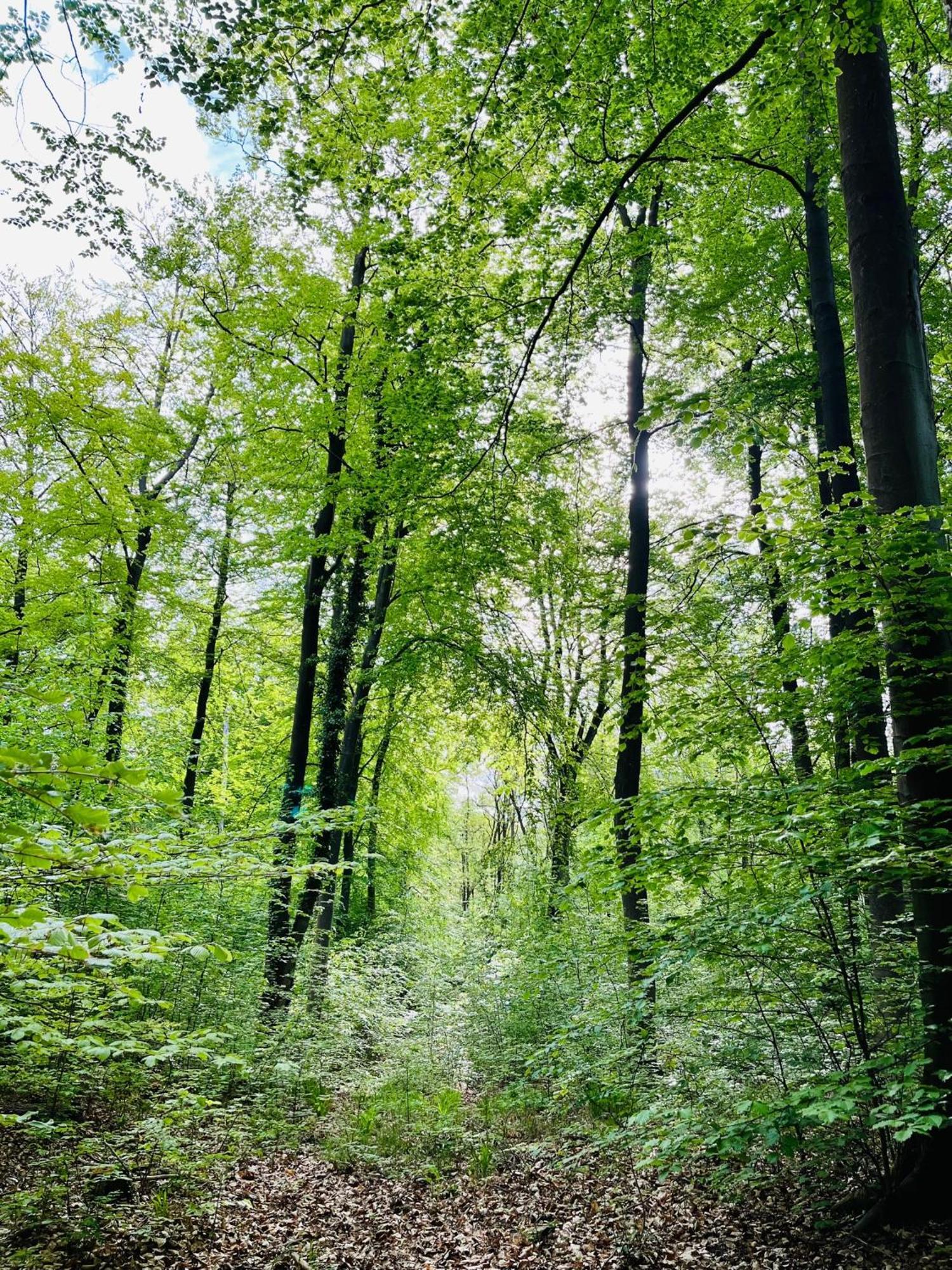 Kornspeicher Himmelpfort Esterno foto